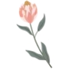 🌷 Эмодзи «Witch Set» для Telegram