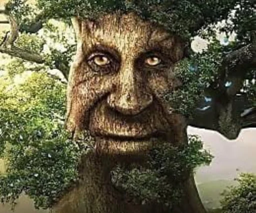 Стикерпак tree для Telegram — скачать