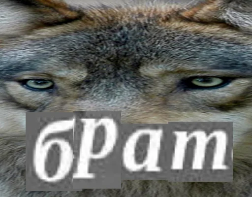 Стикерпак Волк за брата для Telegram — скачать