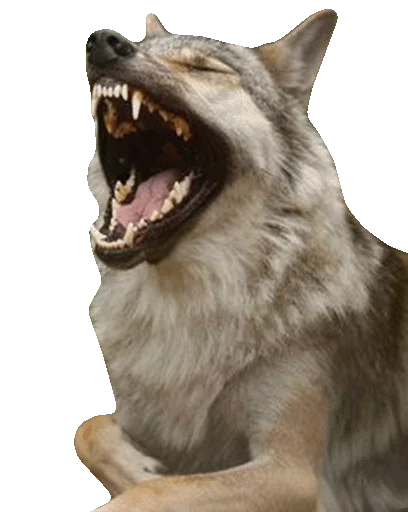 Стикерпак Wolfs для Telegram — скачать