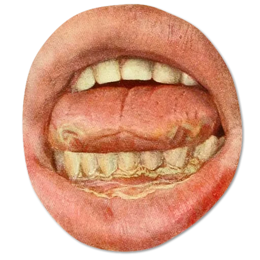 👄 Стикер «wdcm» для Telegram