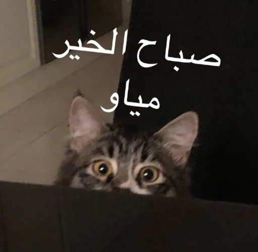 😆 Стикер «انمي» для Telegram