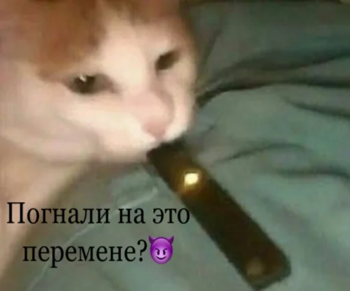 😈 Стикер «Bruuh» для Telegram