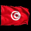 🇹🇳 Эмодзи «Flags #flags #status #decor» для Telegram