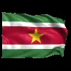 🇸🇷 Эмодзи «Flags #flags #status #decor» для Telegram