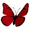 🦋 Эмодзи «Red #color #red #adaptive» для Telegram