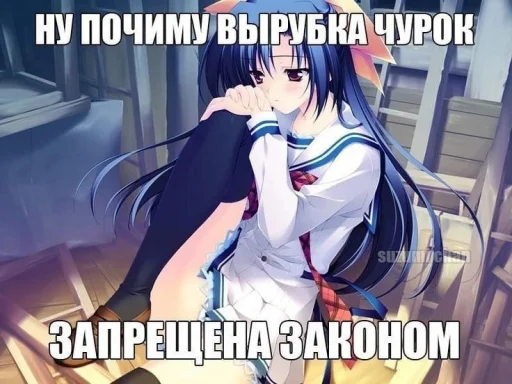 🧐 Стикер «Аниме мемы» для Telegram