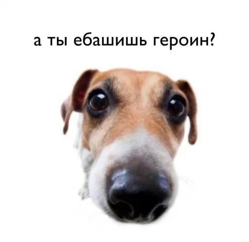 😃 Стикер «Я в КАКАО» для Telegram