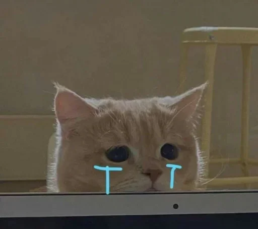 😥 Стикер «Я в КАКАО» для Telegram