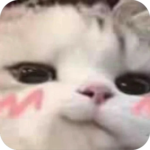 🫥 Стикер «tg» для Telegram