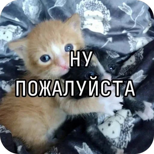 🫥 Стикер «tg» для Telegram