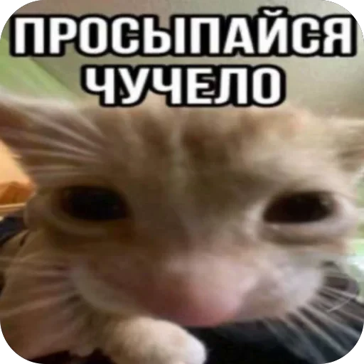 🫥 Стикер «tg» для Telegram