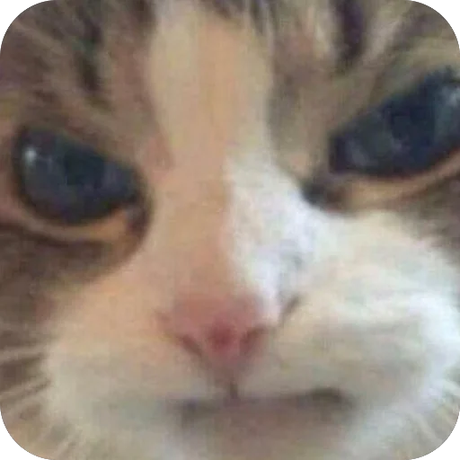 🫥 Стикер «tg» для Telegram
