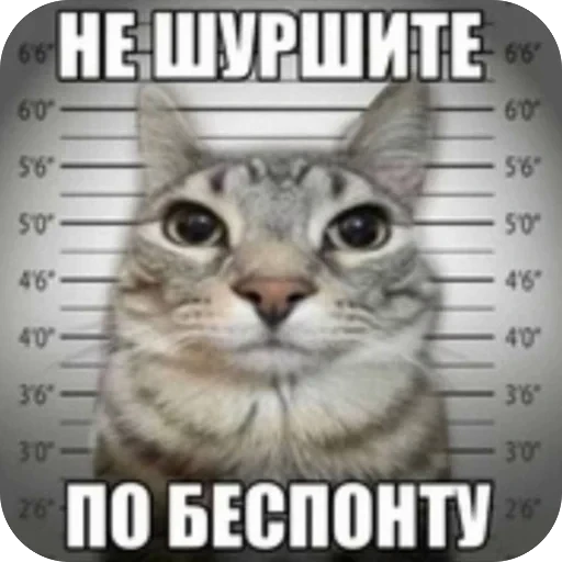 🫥 Стикер «tg» для Telegram