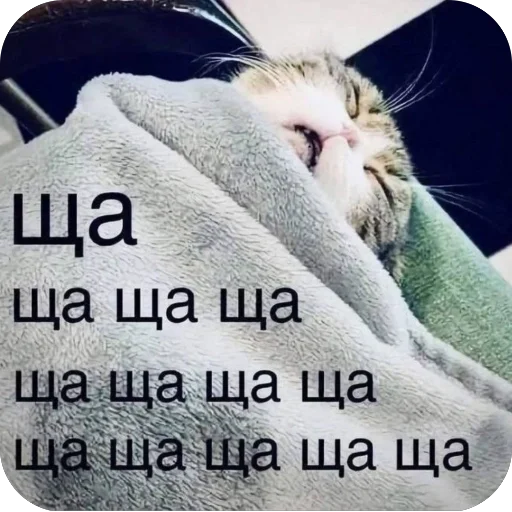 🫥 Стикер «tg» для Telegram