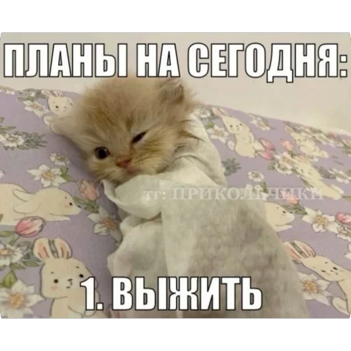 🫥 Стикер «tg» для Telegram