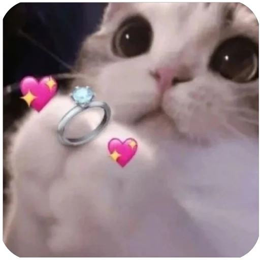 🫥 Стикер «tg» для Telegram
