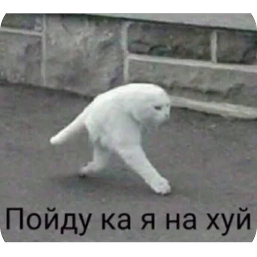 🫥 Стикер «tg» для Telegram