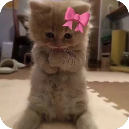🫥 Стикер «tg» для Telegram