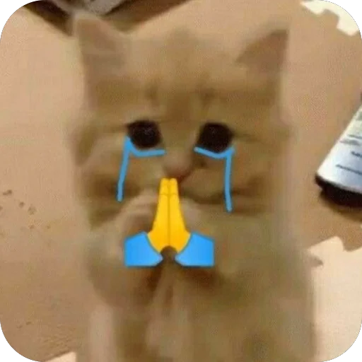 🫥 Стикер «tg» для Telegram