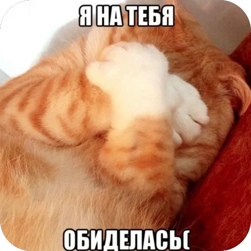 🫥 Стикер «tg» для Telegram