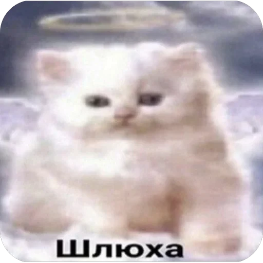 🫥 Стикер «tg» для Telegram
