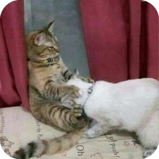🫥 Стикер «tg» для Telegram
