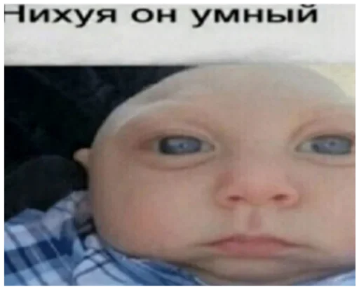 🧠 Стикер «Акмаль не дурак(» для Telegram