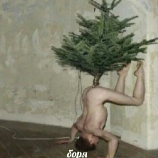 🎄 Стикер «Акмаль не дурак(» для Telegram