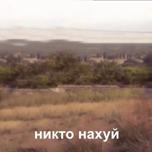 ❗ Стикер «Акмаль не дурак(» для Telegram