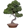 🌳 Эмодзи «Эстетика Японии» для Telegram