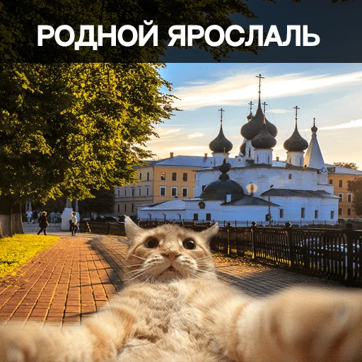 Стикерпак Ярославль для Telegram — скачать