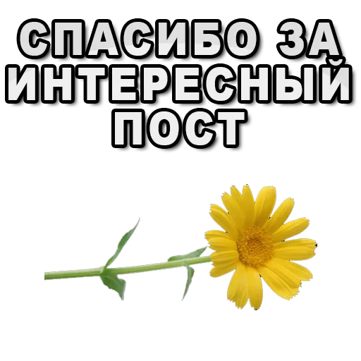 😃 Стикер «Я сейчас тебя забаню» для Telegram