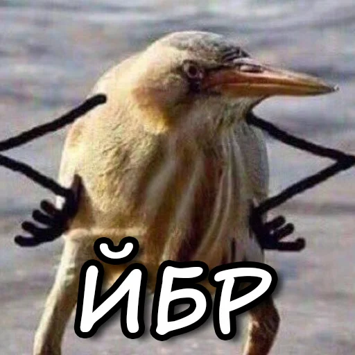 Стикерпак ЙБР для Telegram — скачать