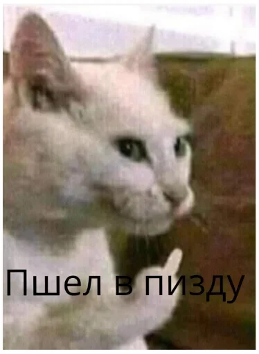 🖕 Стикер «уебенкс» для Telegram