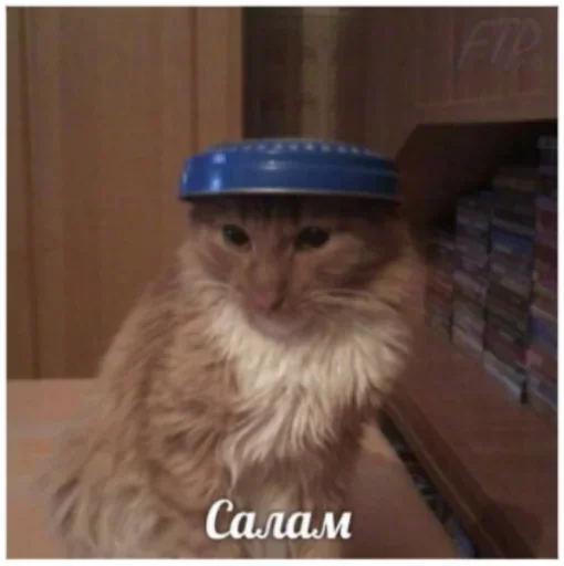 👋 Стикер «уебенкс» для Telegram