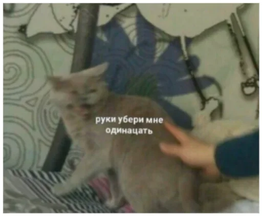 🅾️ Стикер «уебенкс» для Telegram
