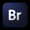 🔤 Эмодзи «Anicons #fordesigners #decor» для Telegram
