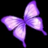 🦋 Эмодзи «Violet #color #violet #purple» для Telegram
