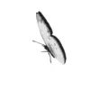 🦋 Эмодзи «𓆩 Dungeon» для Telegram