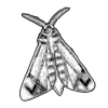 🦋 Эмодзи «𓆩 Dungeon» для Telegram