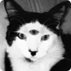 🐈‍⬛ Эмодзи «𓆩 Dungeon» для Telegram