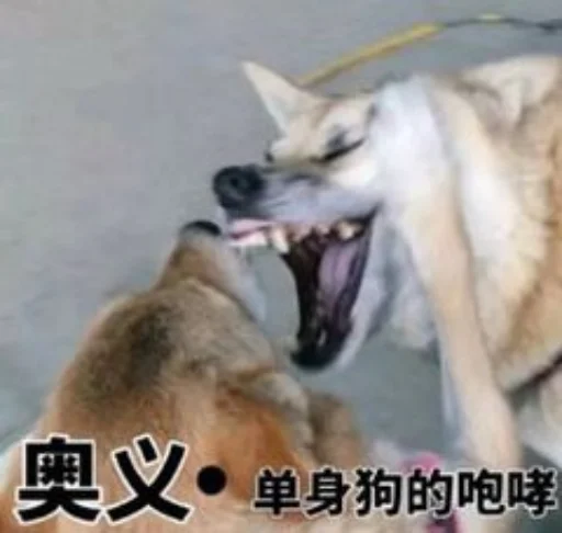 Стикерпак yishanyishanliangjingjing для Telegram — скачать