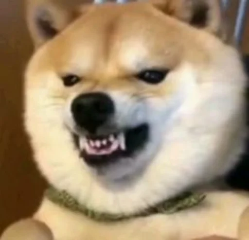 👺 Стикер «yishanyishanliangjingjing» для Telegram
