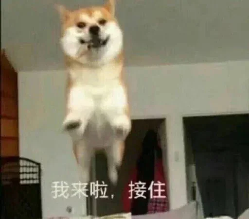 😺 Стикер «yishanyishanliangjingjing» для Telegram