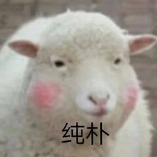 🐑 Стикер «yishanyishanliangjingjing» для Telegram