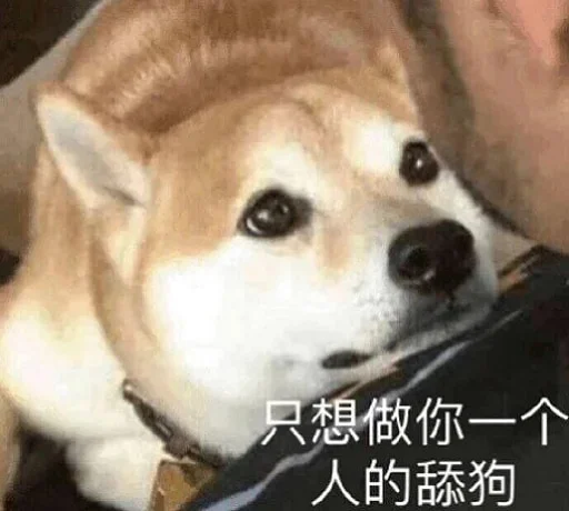 🐕 Стикер «yishanyishanliangjingjing» для Telegram