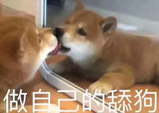 🐕 Стикер «yishanyishanliangjingjing» для Telegram