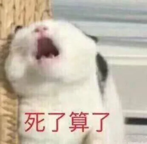 🐈 Стикер «yishanyishanliangjingjing» для Telegram