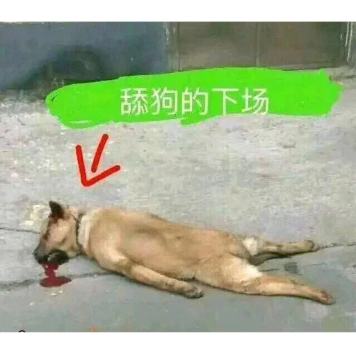 🐕 Стикер «yishanyishanliangjingjing» для Telegram